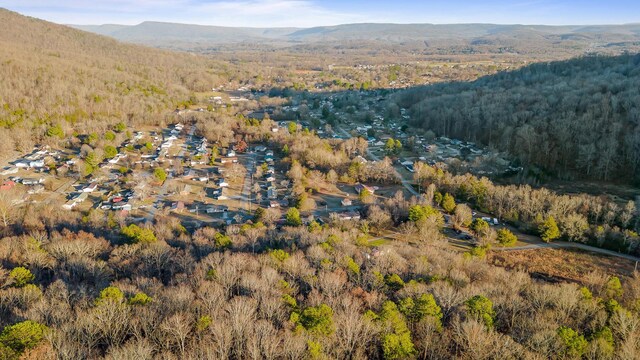 1158 Pryor Cove Rd, Jasper, TN 37347 - photo 33