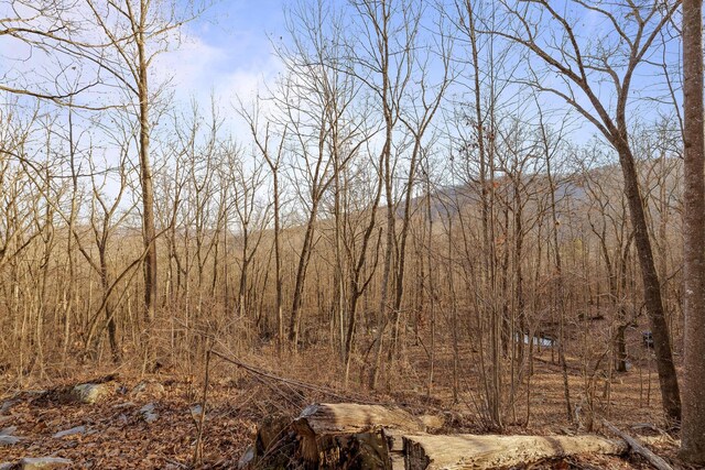 1158 Pryor Cove Rd, Jasper, TN 37347 - photo 8
