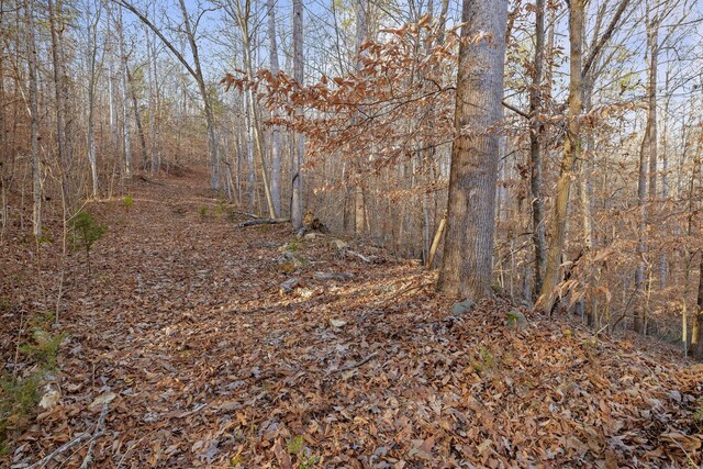 1158 Pryor Cove Rd, Jasper, TN 37347 - photo 27
