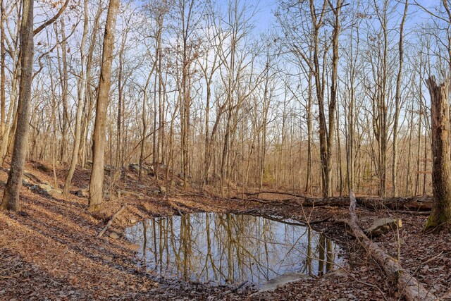 1158 Pryor Cove Rd, Jasper, TN 37347 - photo 25