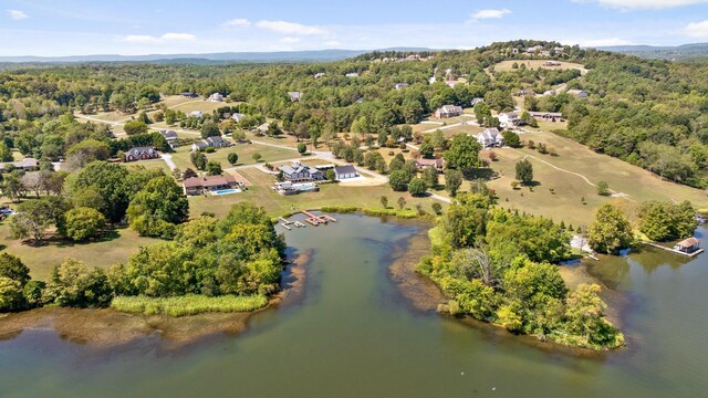 401 Gholdston Dr, Dayton, TN 37321 - photo 60