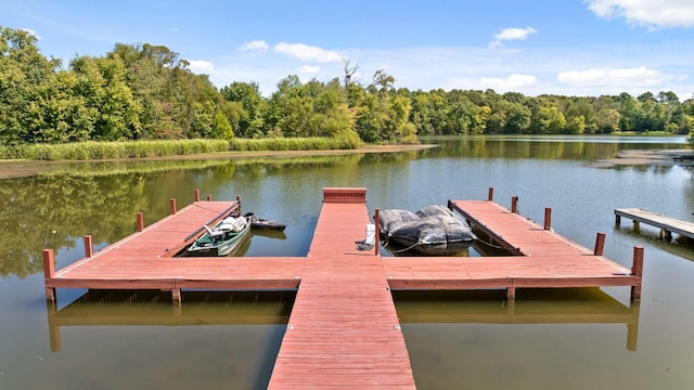 401 Gholdston Dr, Dayton, TN 37321 - photo 55
