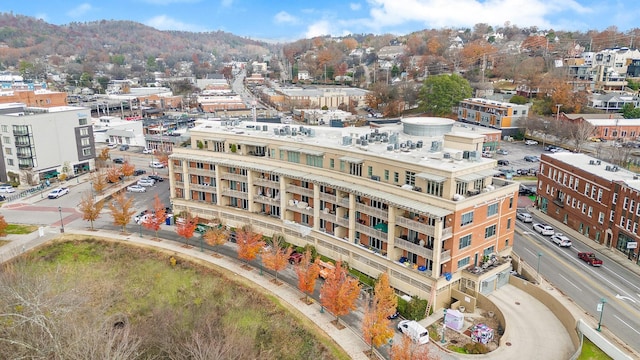 4 Cherokee Blvd Unit 409, Chattanooga, TN 37405 - aerial view