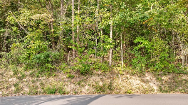 1 Blair Rd, Mc Donald, TN 37353 - photo 18