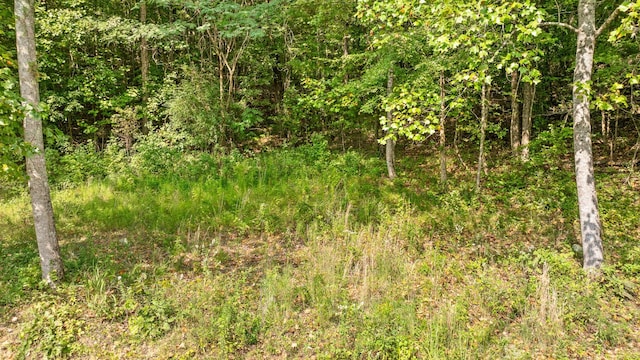 1 Blair Rd, Mc Donald, TN 37353 - photo 20