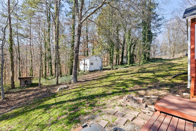 51 Castleview Dr, Ringgold, GA 30736 - view of green lawn with a storage shed
