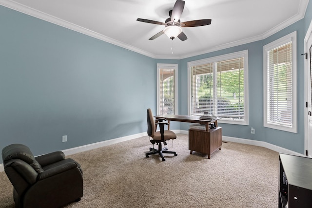 6069 Candies Creek Ridge Rd NW, Charleston, TN 37310 - office space featuring ornamental molding, ceiling fan, and carpet floors