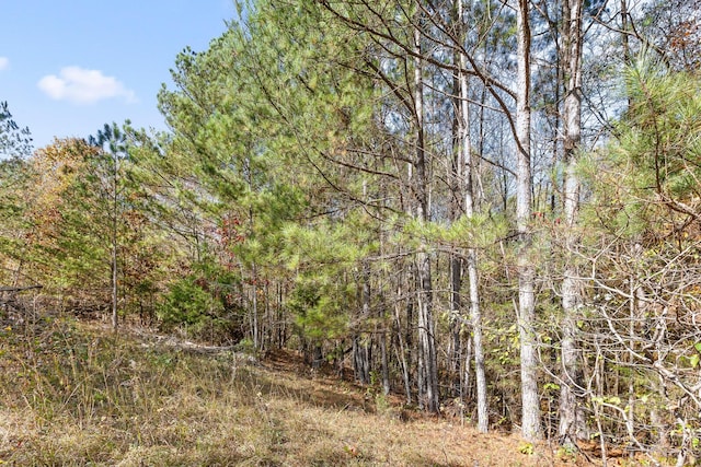 1492 Brymer Creek Rd, Mc Donald, TN 37353