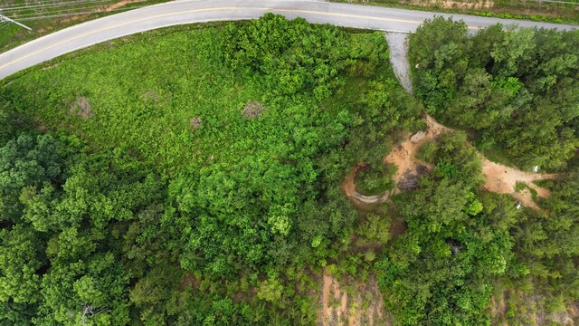 1814 Dallas Lake Rd, Soddy Daisy, TN 37379 - photo 18