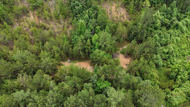 1814 Dallas Lake Rd, Soddy Daisy, TN 37379 - photo 14