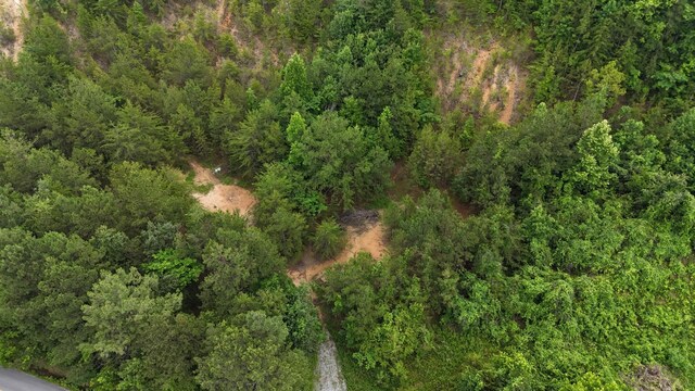 1814 Dallas Lake Rd, Soddy Daisy, TN 37379 - photo 13