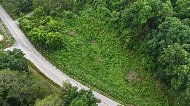 1814 Dallas Lake Rd, Soddy Daisy, TN 37379 - photo 5
