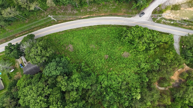 1814 Dallas Lake Rd, Soddy Daisy, TN 37379 - photo 3
