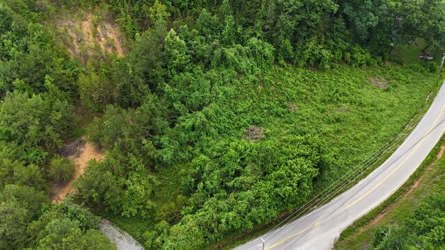 1814 Dallas Lake Rd, Soddy Daisy, TN 37379 - photo 11