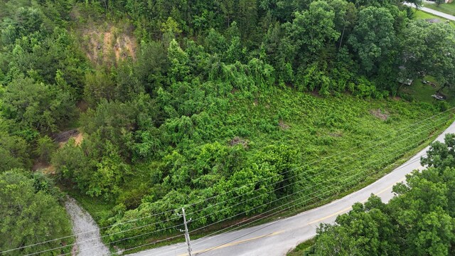 1814 Dallas Lake Rd, Soddy Daisy, TN 37379 - photo 7