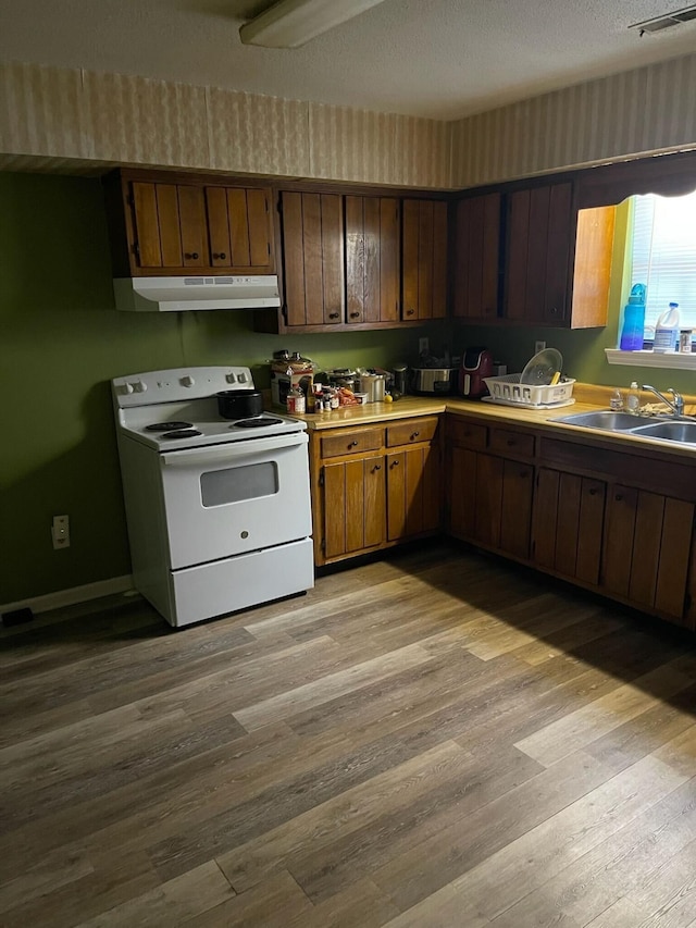 1640 Thrasher Pike, Hixson, TN 37343 - kitchen featuring white range with electric stovetop, under cabinet range hood, light wood-type flooring, and light countertops