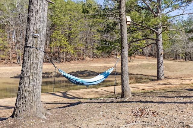 1080 Harp Switch Rd, Chickamauga, GA 30707 - view of yard
