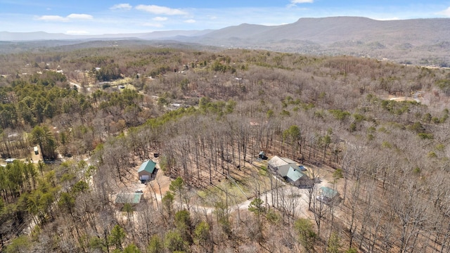 1080 Harp Switch Rd, Chickamauga, GA 30707 - aerial view of property and surrounding area with a mountain backdrop and a forest