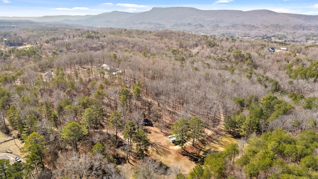 1080 Harp Switch Rd, Chickamauga, GA 30707 - mountain view with a heavily wooded area