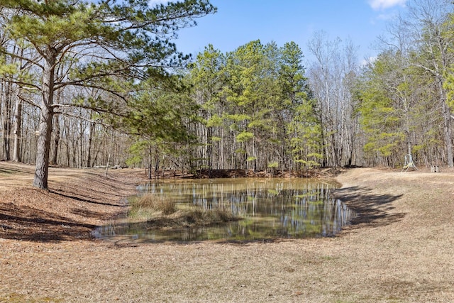 1080 Harp Switch Rd, Chickamauga, GA 30707 - view of yard with a wooded view and a water view