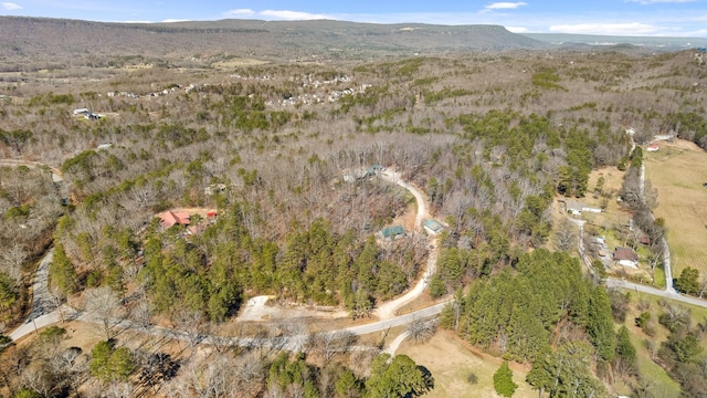 1080 Harp Switch Rd, Chickamauga, GA 30707 - aerial view of property's location with a mountainous background
