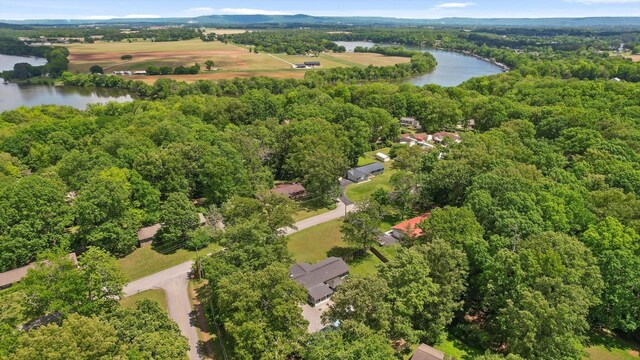 419 Trotters Cir, Estill Springs, TN 37330 - photo 31
