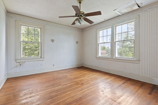 20 Ridge Rd, Chattanooga, TN 37411 - unfurnished room featuring light wood-type flooring, a textured ceiling, and ceiling fan