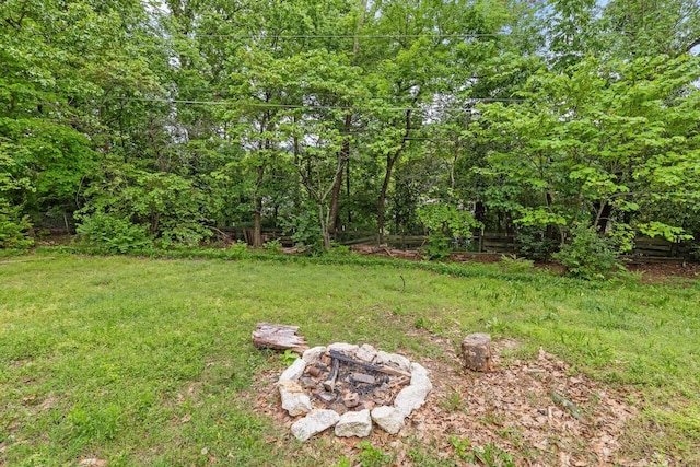 4338 Comet Trl, Hixson, TN 37343 - view of grassy yard