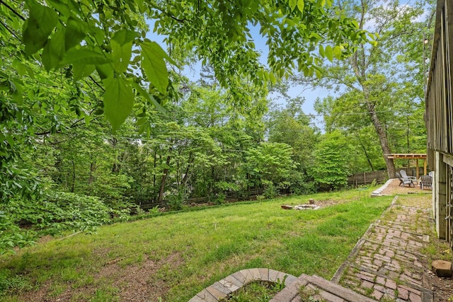 4338 Comet Trl, Hixson, TN 37343 - view of yard