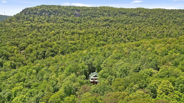 496 Boyd Rd, Dunlap, TN 37327 - photo 39