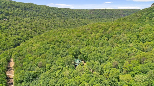 496 Boyd Rd, Dunlap, TN 37327 - photo 33