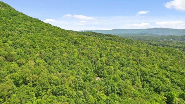 496 Boyd Rd, Dunlap, TN 37327 - photo 36