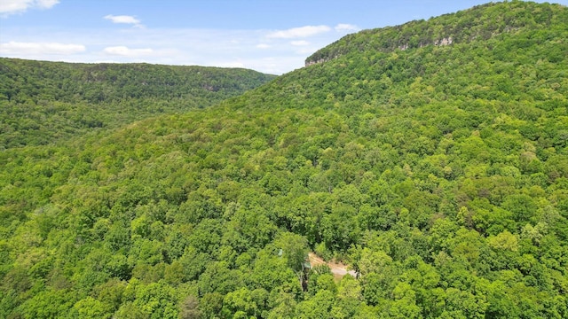 496 Boyd Rd, Dunlap, TN 37327 - photo 34
