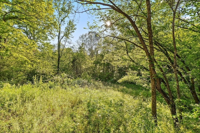 553 Back Valley Rd, Trenton, GA 30752 - view of woods