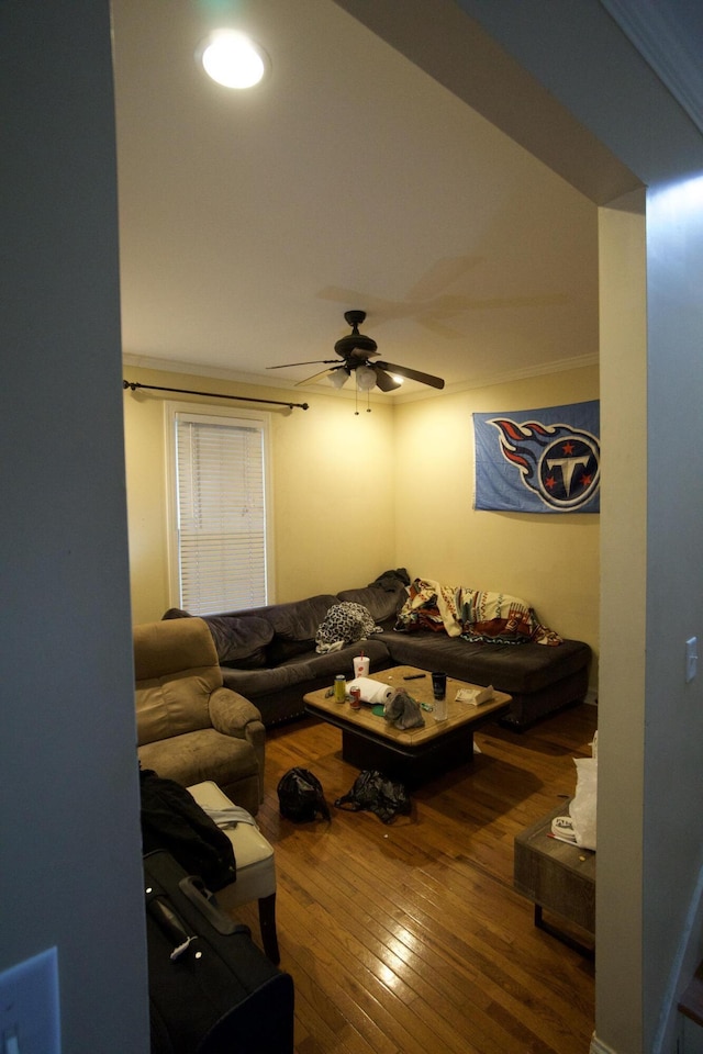 808 Fairview Ave, Chattanooga, TN 37403 - living area with hardwood / wood-style floors and a ceiling fan