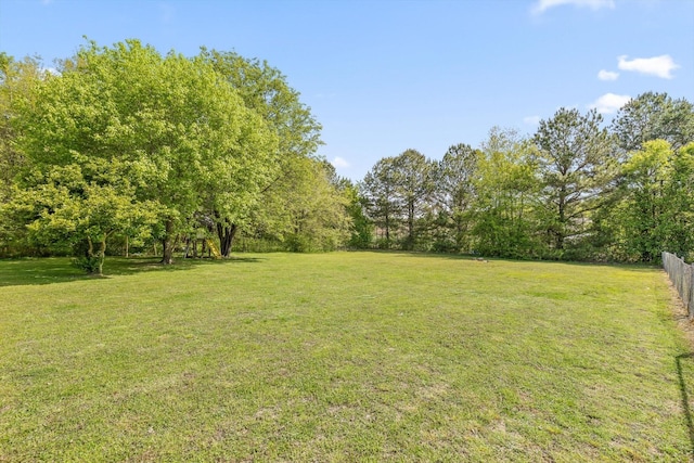 225 Shawn Ln, Chatsworth, GA 30705 - view of yard