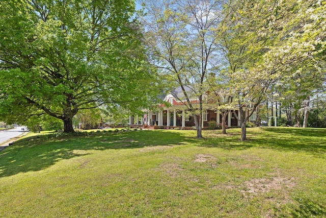 302 S Main St, La Fayette, GA 30728 - view of grassy yard