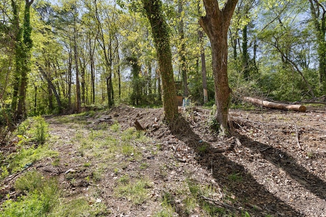 3977 Blanchard St, Chattanooga, TN 37411