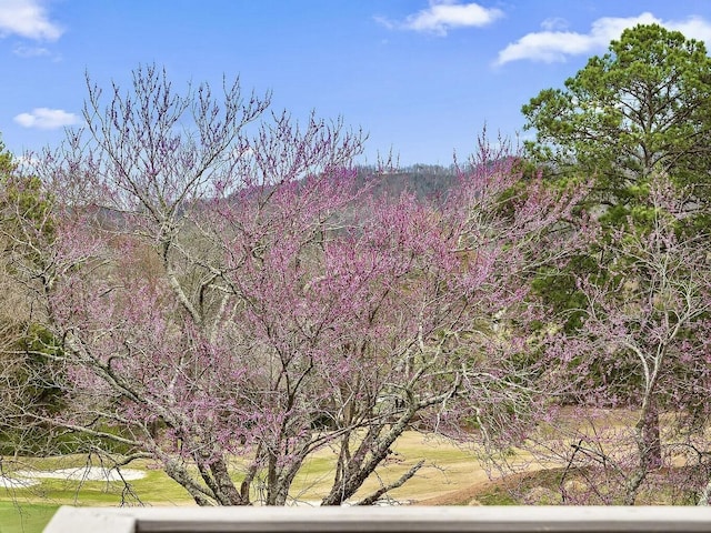 467 Wisley Way, Ringgold, GA 30736 - view of mountain backdrop