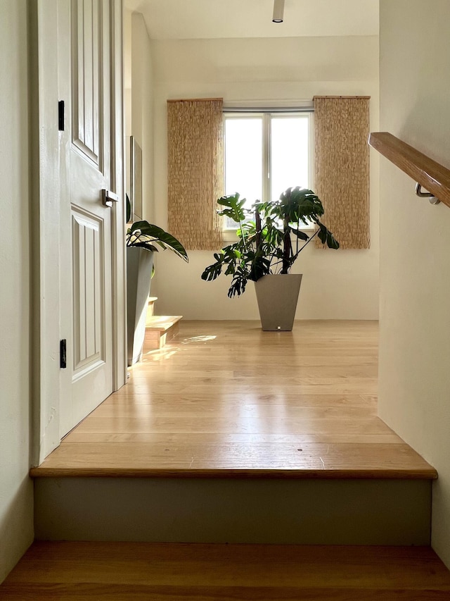467 Wisley Way, Ringgold, GA 30736 - staircase featuring wood finished floors