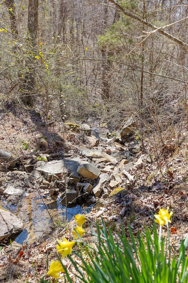 610 Orme Mountain Rd, South Pittsburg, TN 37380 - view of local wilderness