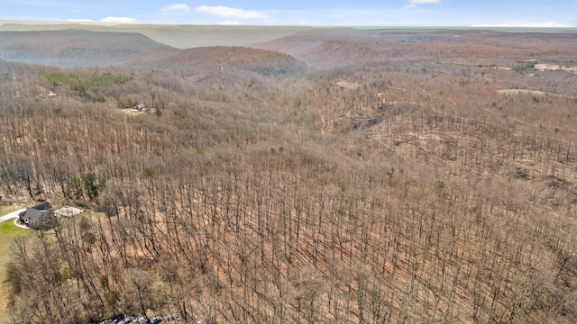 610 Orme Mountain Rd, South Pittsburg, TN 37380 - view of mountain background