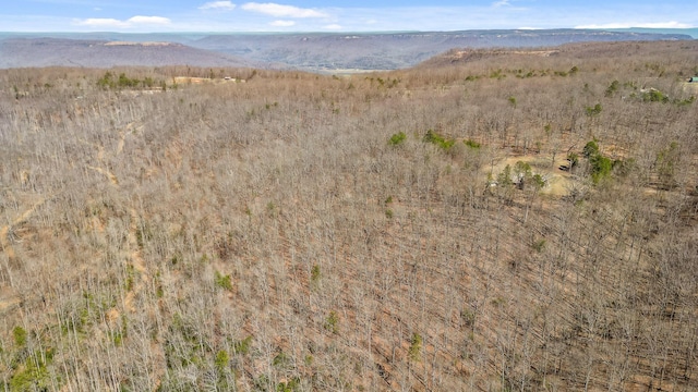 610 Orme Mountain Rd, South Pittsburg, TN 37380 - aerial view of property and surrounding area