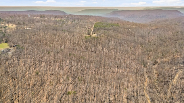610 Orme Mountain Rd, South Pittsburg, TN 37380 - aerial overview of property's location featuring a mountainous background