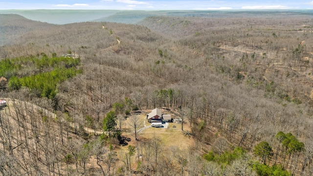 610 Orme Mountain Rd, South Pittsburg, TN 37380 - view from above of property