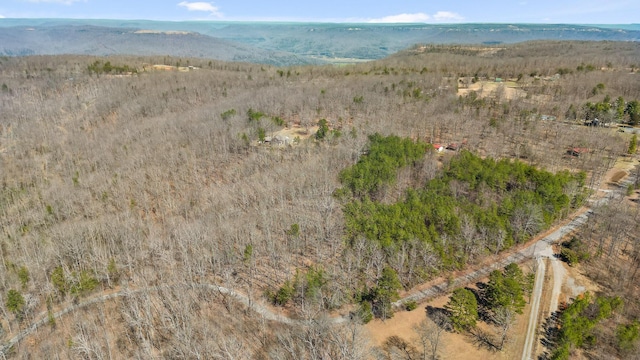 610 Orme Mountain Rd, South Pittsburg, TN 37380 - drone / aerial view