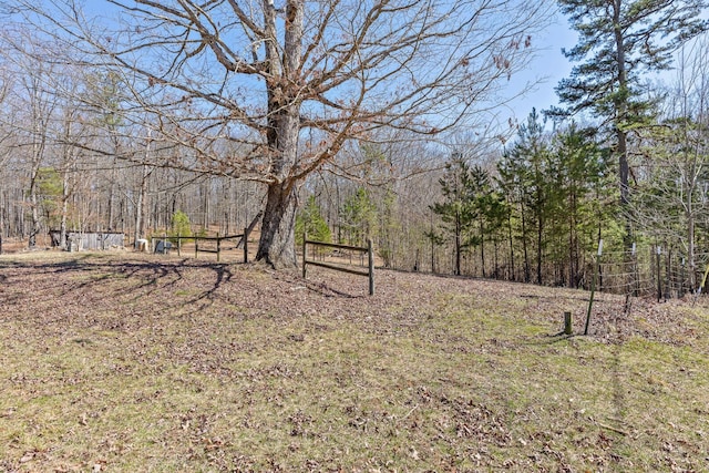610 Orme Mountain Rd, South Pittsburg, TN 37380 - view of yard featuring a wooded view