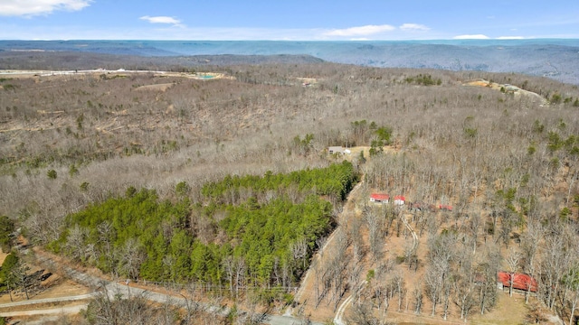 610 Orme Mountain Rd, South Pittsburg, TN 37380 - view of property location