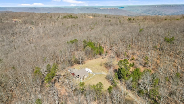 610 Orme Mountain Rd, South Pittsburg, TN 37380 - view from above of property