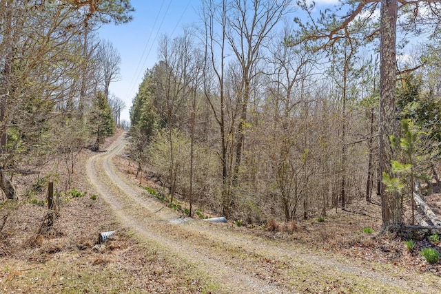 610 Orme Mountain Rd, South Pittsburg, TN 37380 - view of street